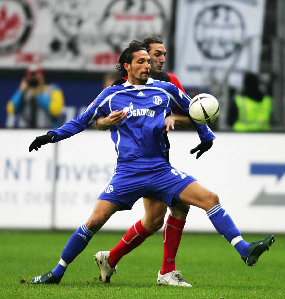 都是他需要 都是他需要