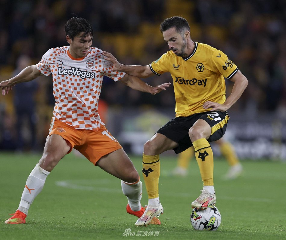 仅是两支球 仅是两支球